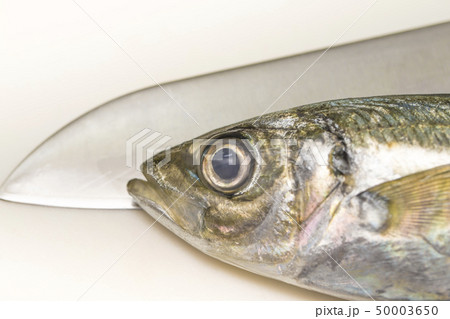 【鯵　三枚おろし】 50003650