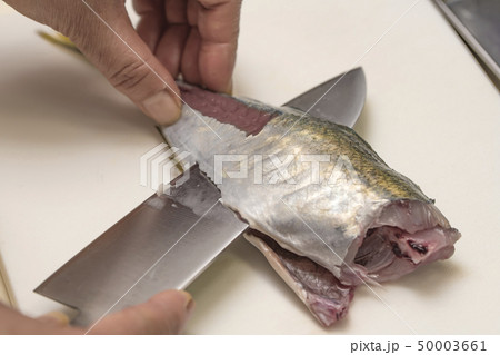 【鯵 三枚おろし】 【鯵 三枚おろし】 50003661