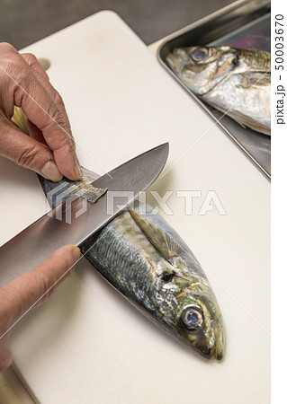【鯵 三枚おろし】 【鯵 三枚おろし】 50003670