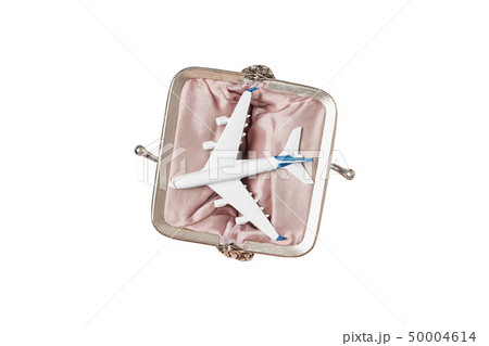 Passenger plane in open wallet on a light 50004614