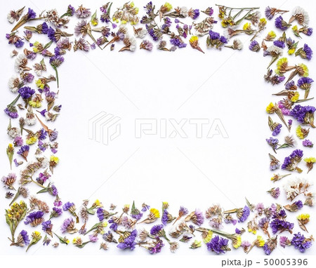 Flower frame or border of dried flowers on a white Flower frame or border of dried flowers on a white 50005396