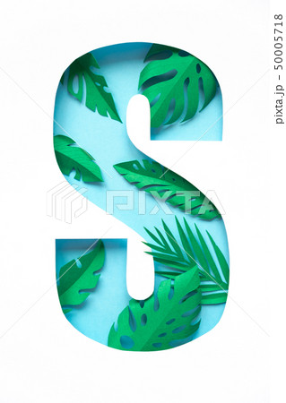 letter s cut from paper with tropical palm leaves 50005718