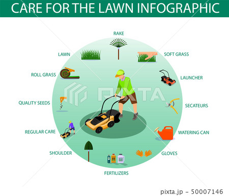 Poster Written Care for the Lawn Infographic. Poster Written Care for the Lawn Infographic. 50007146