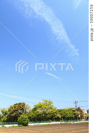 畑（春） 50007259