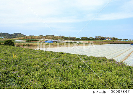 畑(春) 畑(春) 50007347