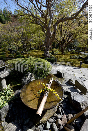 円光寺　水琴窟 50007539
