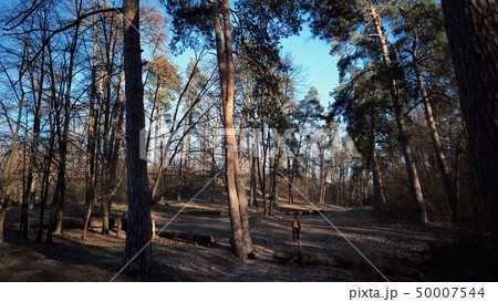 Rear view of hike of brave Caucasian guy with backpack walks into forest along country road. In Rear view of hike of brave Caucasian guy with backpack walks into forest along country road. In 50007544