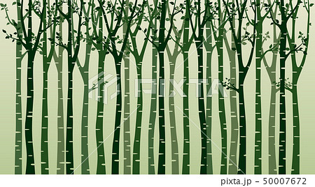 Birch tree silhouette on green background Birch tree silhouette on green background 50007672