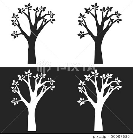 Set of tree silhouettes with branches Set of tree silhouettes with branches 50007686
