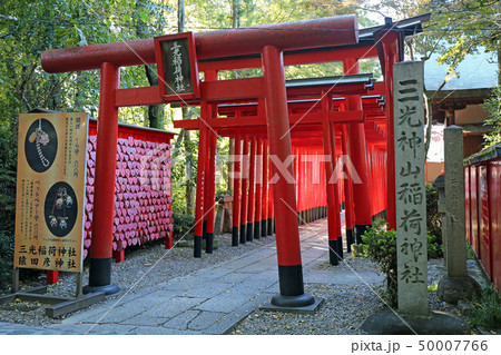 秋の三光稲荷神社 秋の三光稲荷神社 50007766