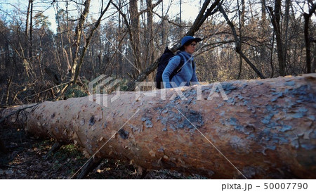 Young woman tourist with a backpack steps over a fallen tree in the forest with a backpack. Theme 50007790