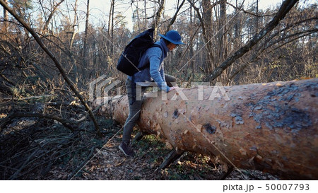 Young woman tourist with a backpack steps over a fallen tree in the forest with a backpack. Theme 50007793