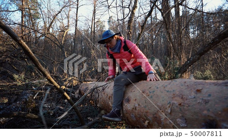 Young woman tourist with a backpack steps over a fallen tree in the forest with a backpack. Theme Young woman tourist with a backpack steps over a fallen tree in the forest with a backpack. Theme 50007811