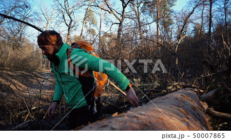 A young male tourist with a backpack steps over a fallen tree in the forest with a backpack. Theme 50007865