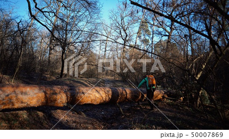 A young male tourist with a backpack steps over a fallen tree in the forest with a backpack. Theme A young male tourist with a backpack steps over a fallen tree in the forest with a backpack. Theme 50007869
