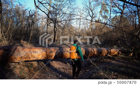 A young male tourist with a backpack steps over a fallen tree in the forest with a backpack. Theme 50007870