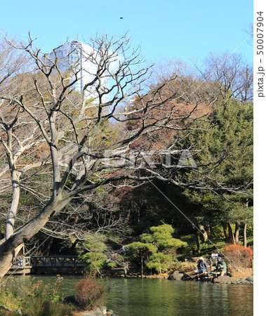 有栖川宮記念公園 50007904