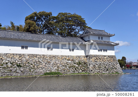 春の彦根城　多聞櫓 50008261