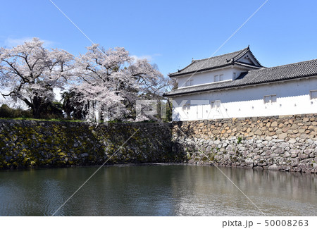 春の彦根城　多聞櫓 50008263