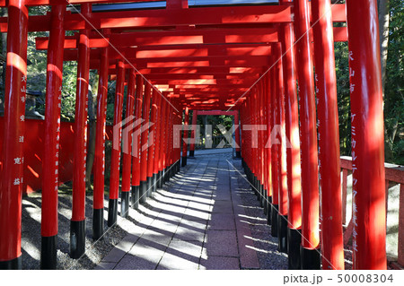 秋の三光稲荷神社 秋の三光稲荷神社 50008304