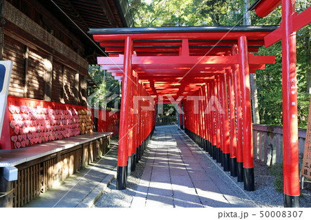 秋の三光稲荷神社 50008307