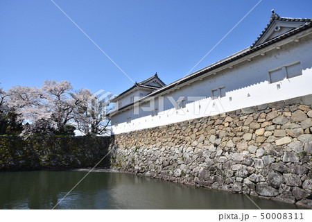 春の彦根城　多聞櫓 50008311