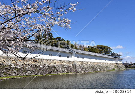 春の彦根城　多聞櫓 50008314