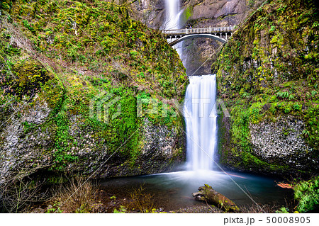 Multnomah Falls in the Columbia River Gorge, USA Multnomah Falls in the Columbia River Gorge, USA 50008905