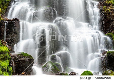 Fairy Falls in the Columbia River Gorge, USA 50008906