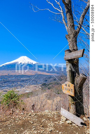 春の登山:高座山頂上 春の登山:高座山頂上 50008984