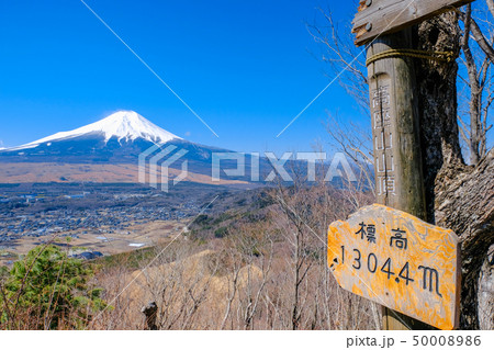 春の登山:高座山頂上 春の登山:高座山頂上 50008986