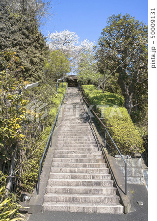 円覚寺塔頭　雲頂庵（鎌倉市山ノ内） 50009131