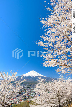 日本の春イメージ 50009358