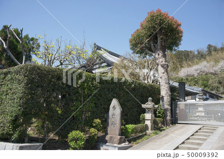 円覚寺塔頭 白雲庵(鎌倉市山ノ内) 円覚寺塔頭 白雲庵(鎌倉市山ノ内) 50009392