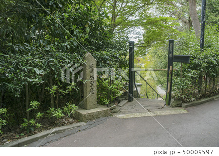 円覚寺塔頭　伝宗庵（鎌倉市山ノ内） 50009597