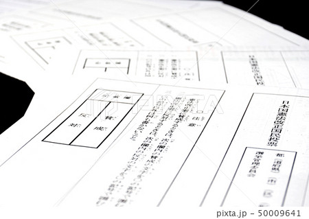 国民投票 国民投票 50009641