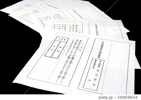 国民投票 国民投票 50009644