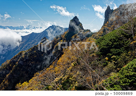 八ヶ岳連峰・真教寺尾根の下りから見る秋色の天狗尾根と権現岳 八ヶ岳連峰・真教寺尾根の下りから見る秋色の天狗尾根と権現岳 50009869
