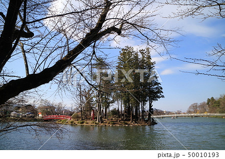 臥竜公園の竜ヶ池 50010193