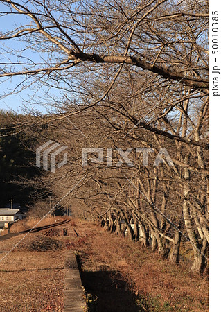 第三セクター錦川鉄道清流新岩国駅 第三セクター錦川鉄道清流新岩国駅 50010386