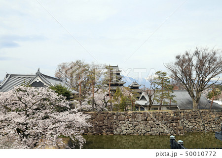 国宝・松本城（長野県） 50010772
