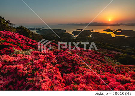 【長崎県】長串山公園のつつじと夕陽 【長崎県】長串山公園のつつじと夕陽 50010845