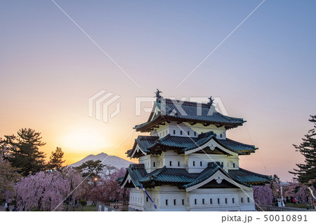 青森　弘前城　天守に満開の桜　向こうに岩木山 50010891