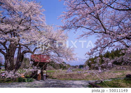 岩手県 雫石町 長山の弘法桜 小さな祠 雪の岩手山 岩手県 雫石町 長山の弘法桜 小さな祠 雪の岩手山 50011149