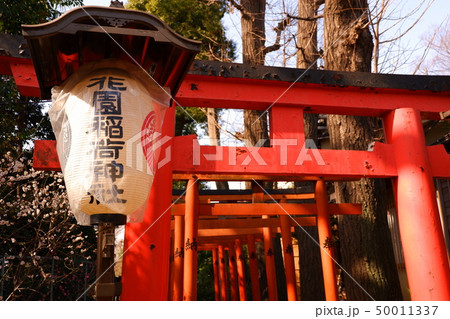 花園稲荷神社　穴稲荷　忍岡稲荷　しのぶがおかいなり　赤い鳥居　縁結び　パワースポット 50011337