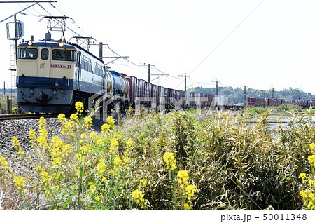 快走のEF65 50011348