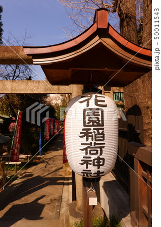 花園稲荷神社 狐 おいなりさん きつね 穴稲荷 忍岡稲荷 しのぶがおかいなり 花園稲荷神社 狐 おいなりさん きつね 穴稲荷 忍岡稲荷 しのぶがおかいなり 50011543