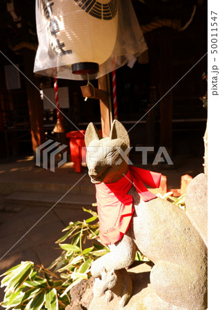 花園稲荷神社 狐 おいなりさん きつね 穴稲荷 忍岡稲荷 しのぶがおかいなり 花園稲荷神社 狐 おいなりさん きつね 穴稲荷 忍岡稲荷 しのぶがおかいなり 50011547