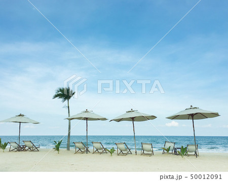 Holiday on the bleach in summer 50012091