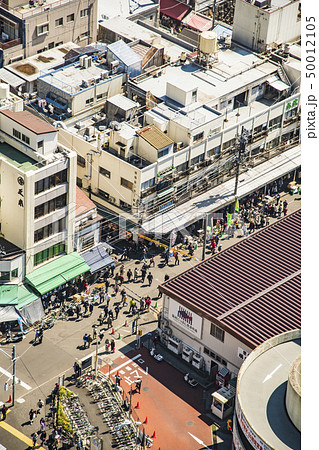 【築地市場 場外】 【築地市場 場外】 50012105